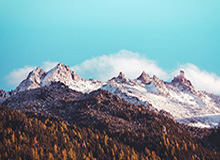 黄金甲体育官方网站：开启健康生活的新入口